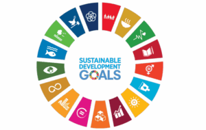 SDG
