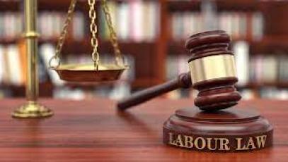 labour laws mdp