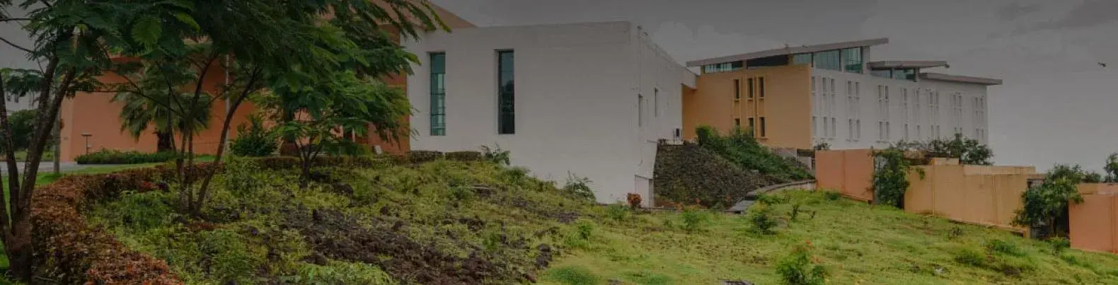 initiatives-dsc00094-1_opt